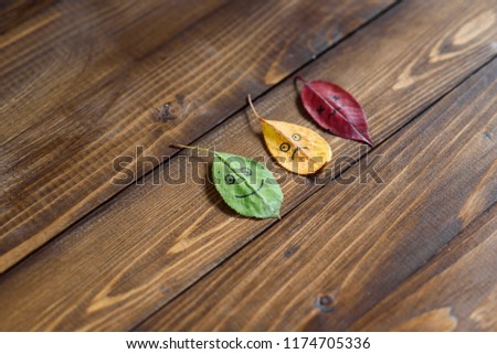 Green, yellow and red fallen leaves with happy and sad emoji on the wooden background.