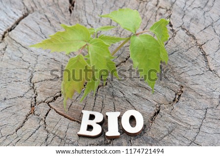The word BIO is made of wooden letters on an old stump beside a young green sprout. The concept of nature protection and ecology.