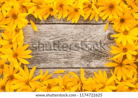 Flowers frame on wooden background