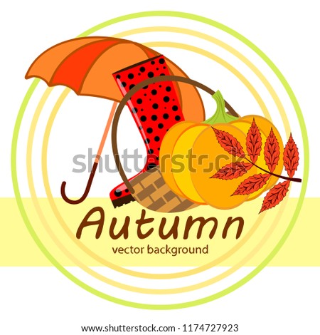 autumn pumpkin umbrella rubber boots fallen leaf basket autumnal vector background