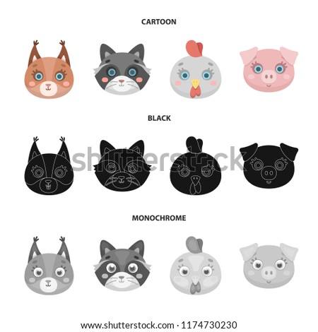 Protein, raccoon, chicken, pig. Animal's muzzle set collection icons in cartoon,black,monochrome style vector symbol stock illustration web.