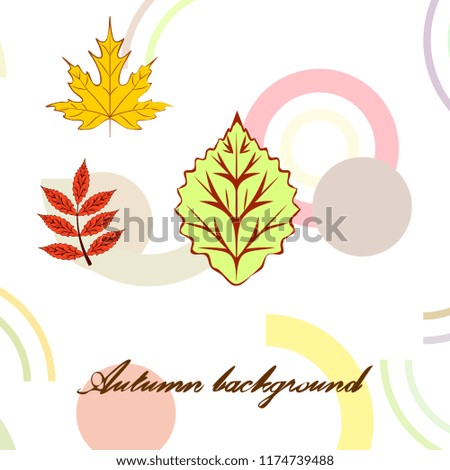 autumn deciduous autumn vector background