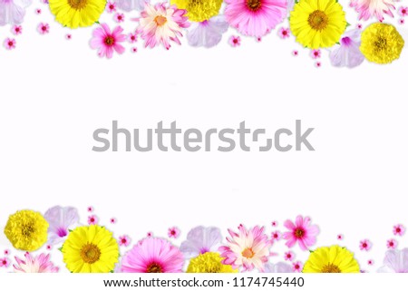 flower texture background for peace meditation spa web health freedom nature concept white background top view
