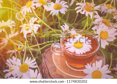 A cup of tea standing on a wooden surface, in white chamomile flowers, in the rays of warm sunlight, close-up.