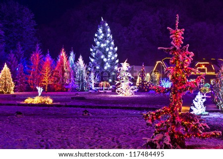 Christmas fantasy - park & forest in xmas lights, Croatia