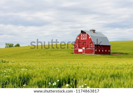 Red barn in the wheat fields of the Palouse region, WA-USA Royalty-Free Stock Photo #1174863817