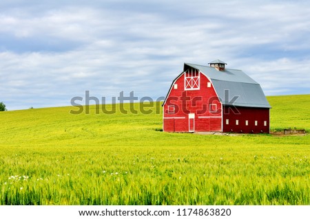 Red barn in the wheat fields of the Palouse region, WA-USA Royalty-Free Stock Photo #1174863820