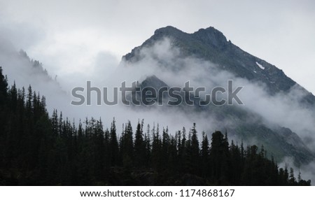 Fog in the mountains, Siberian taiga on a misty morning Royalty-Free Stock Photo #1174868167