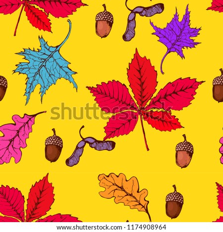 seamless autumn pattern, colored leaves, maple, oak, chestnut, acorns, yellow background vector, hand drawing