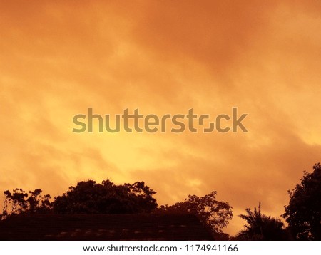 Picture of tree taken by shadow when the sun was behind yellow clouds, and created a different type of lighting that is only seen on very rare occasions here in South Africa