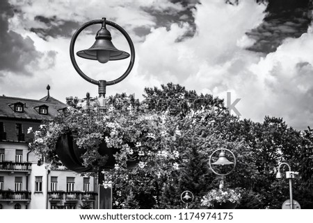 Floral decoration in Piestany spa area, Slovak republic. Outdoor scene. Travel destination. Black and white photo.