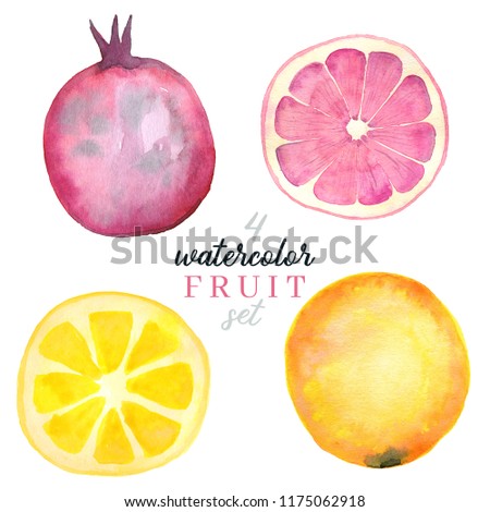 Watercolor fruit collection: orange, pomegranate, lemon, grapefruit. Hand painted illustrations for blogs and cards.