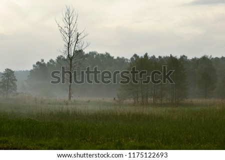 Meadow in the Lublin region. Picture taken in the spring at sunrise on a misty meadow in one of the villages in the Lublin region. haystack