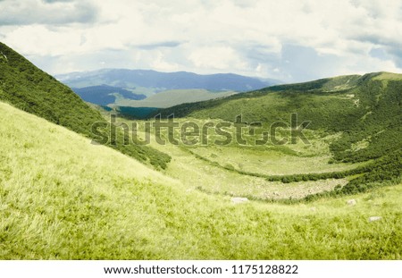 beautiful Carpathian mountains