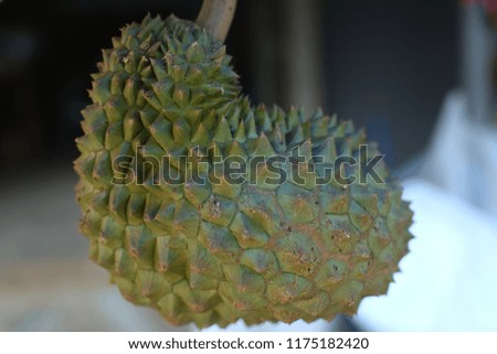 one durian beautiful