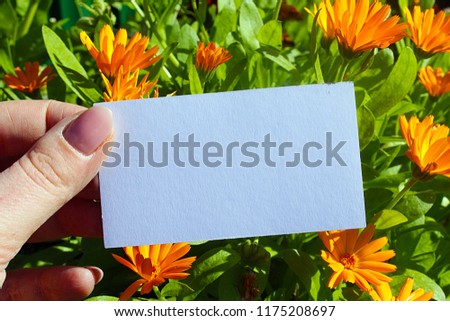 white visit card template hand with flowers Mock-up