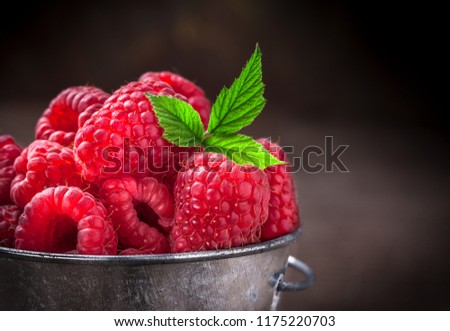 Raspberries fresh arrangement close up in old metallic silver tin can with green leaves dark background and copy space front view in studio