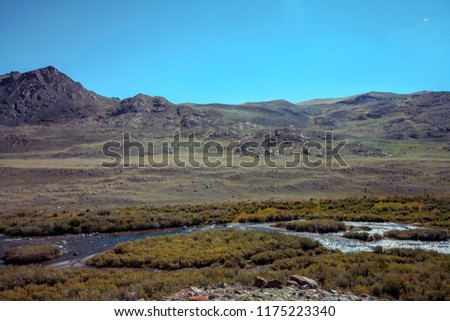 Wild mountain river in the Altai mountains, summer landscape, beautiful reflection