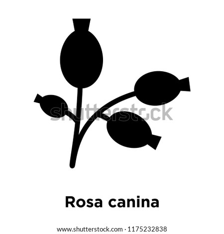 Rosa canina icon vector isolated on white background, logo concept of Rosa canina sign on transparent background, filled black symbol Royalty-Free Stock Photo #1175232838