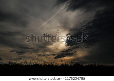 Aircraft trace in the sky. Sunrise. Silhouette of field flowers is in the horizon.