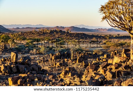 landscape africa namibia rocks quivertree