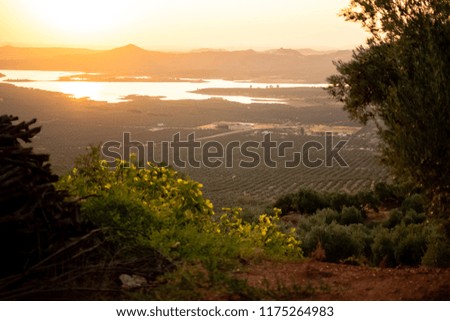 Framed view among olive trees of the Embalse del Guadalen at sunset, photo taken in Arquillos, Jaen, Andalucia, Spain.