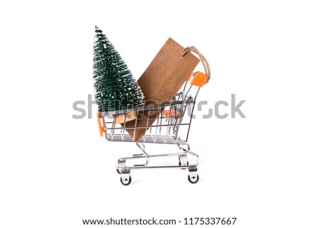 Winter is coming hurry up! Merry Christmas! Cost gift from Santa Claus concept. Side profile close up view photo of little small green tree in metallic cart paper pricetag isolated white background