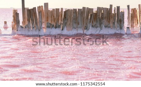 Rose lake, salt in water