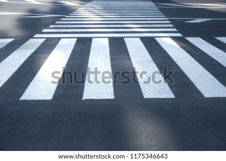 City road marking. White pedestrian crossing strips on grey asphalt road