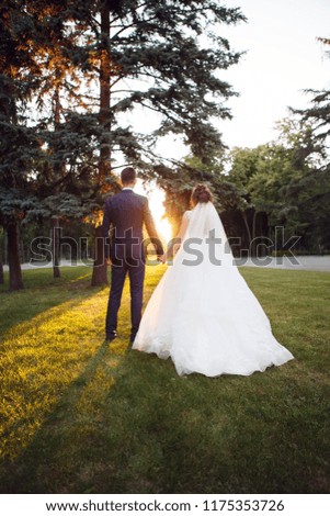 wedding at sunset in the park. the bride and groom walk in the park by the hand