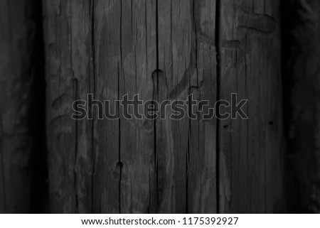 Picture of closeup old dark wood planks with bark beetle traces, black-white photo