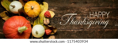 Autumn Harvest and Holiday still life. Happy Thanksgiving Banner. Selection of various pumpkins on dark wooden background. Autumn vegetables and seasonal decorations. 