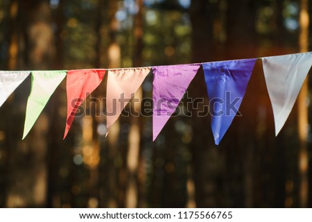 Carnival Garland with Flags, Decorative Party Pennants for Birthday Celebration, Festival and Fair Decoration, Hanging Flags, Bunting Flags ,Triangle Fabrics Hanging on the Rope, Bunting Background 