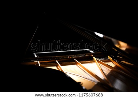 Grand Piano on Black Background
(Piano, Grand Piano, Black Piano, GrandPiano, Black GrandPiano GrandPiano On stage) Music background