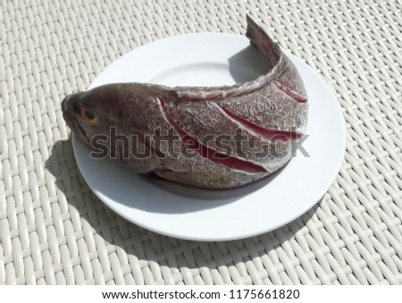 Fresh Grouper fish from the market on white background