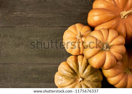 A lot of fresh raw orange colorful pumpkins over rustic wooden background