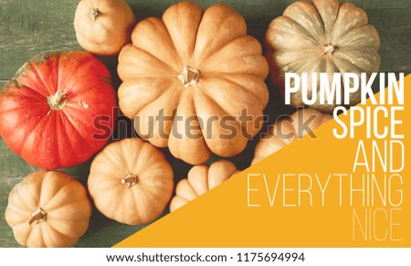 A lot of fresh raw orange colorful pumpkins, top view. Pumpkin spice and everything nice