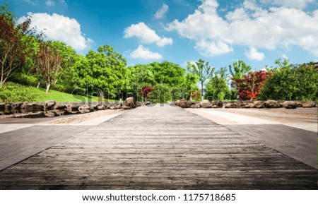 nature outdoor park and street road footpath
