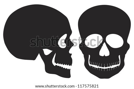 Skulls Front and Side View Black and White Illustration Isolated on White Background Vector