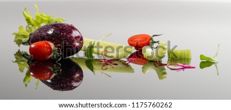 Set of aubergine, fennel, tomato on acrylic glass.