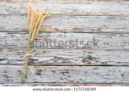 Wheat on a white wooden background. Free space for text. Top view.