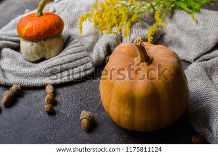 pumpkins on a dark background. Autumn mood.