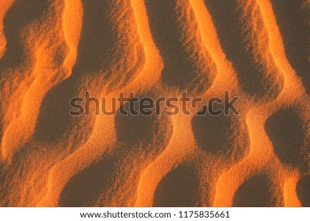 Beautiful natural pattern of golden desert sand ripples shaped by the wind 