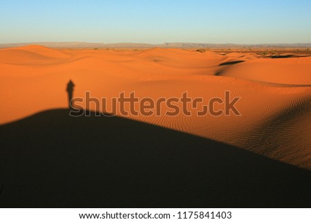 Shadow of a lonely man on the top of a dune in the desert with golden sand dunes, Morocco, Africa