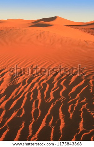 Golden sand dunes with ripples and shadows in the Sahara desert, Morocco, Africa