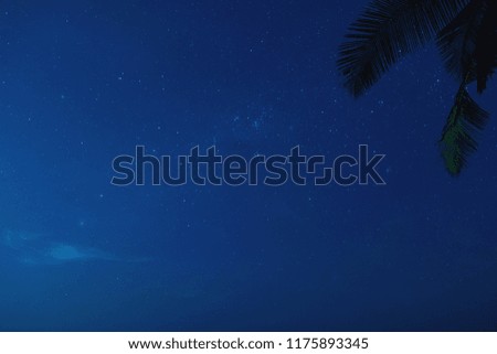 Scenic night sky with a lot of stars and palm tree. Real photo taken with a long exposure.
