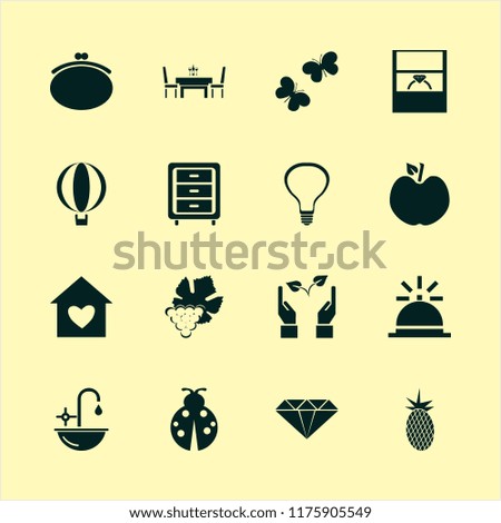 bright vector icons set. with sink, butterflies, apple and grape in set