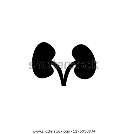 kidneys icon. Simple glyph vector of Medicine set for UI and UX, website or mobile application on white background
