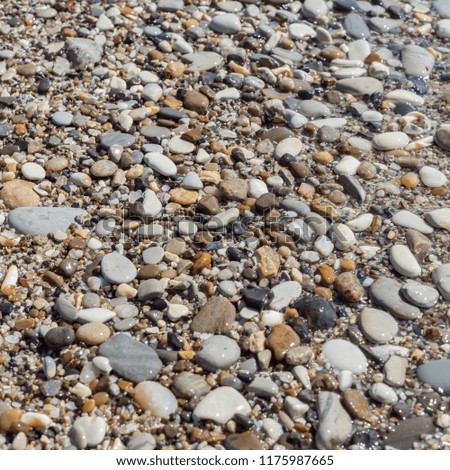 Top view of round flat colorful pebbles, sand and seashells, wet by sea water waves. Natural marine pattern, square frame, shallow depth of focus. Fresh summer holiday inspiration, relaxation mood.