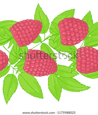 Raspberry Seamless Patterns. Endless ornament twig of forest plant. Background leaves and cluster of berry.